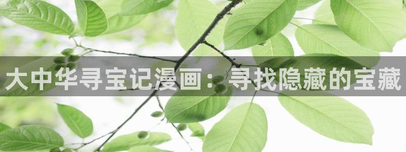 汗汗漫画免费阅在线看：大中华寻宝记漫画：寻找隐藏的宝藏